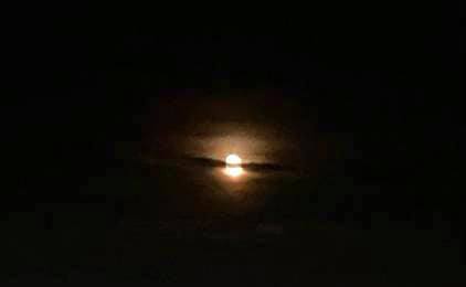 今晚的月亮像佛眼(金菩提宗師 Facebook)
